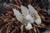 Natural Drusy Quartz Coated Calcite Pseudomorph Specimens x 35 From Lesotho - Toprock Gemstones and Minerals 