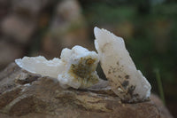 Natural Drusy Quartz Coated Calcite Pseudomorph Specimens x 35 From Lesotho - Toprock Gemstones and Minerals 