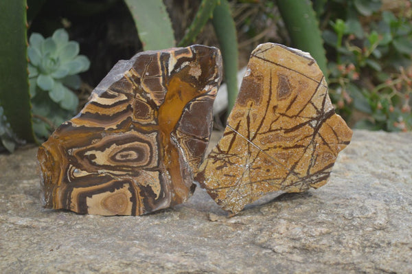 Polished On One Side Nguni Jasper Specimens x 2 From Prieska, South Africa - Toprock Gemstones and Minerals 