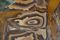 Polished On One Side Nguni Jasper Specimens x 2 From Prieska, South Africa - Toprock Gemstones and Minerals 