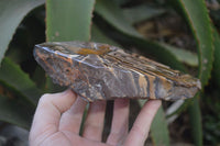 Polished On One Side Nguni Jasper Specimens x 2 From Prieska, South Africa - Toprock Gemstones and Minerals 