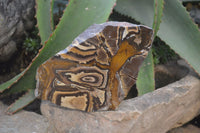 Polished On One Side Nguni Jasper Specimens x 2 From Prieska, South Africa - Toprock Gemstones and Minerals 