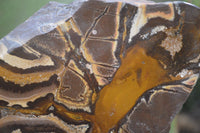 Polished On One Side Nguni Jasper Specimens x 2 From Prieska, South Africa - Toprock Gemstones and Minerals 