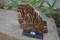 Polished On One Side Nguni Jasper Specimens x 2 From Prieska, South Africa - Toprock Gemstones and Minerals 