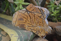 Polished On One Side Nguni Jasper Specimens x 2 From Prieska, South Africa - Toprock Gemstones and Minerals 