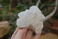 Natural Cascading Candle Quartz Clusters x 4 From Antsirabe, Madagascar - Toprock Gemstones and Minerals 