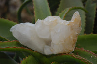 Natural Cascading Candle Quartz Clusters x 4 From Antsirabe, Madagascar - Toprock Gemstones and Minerals 