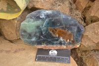 Polished On One Side Watermelon Fluorite Specimens x 2 From Namibia - Toprock Gemstones and Minerals 