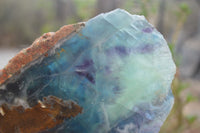 Polished On One Side Watermelon Fluorite Specimens x 2 From Namibia - Toprock Gemstones and Minerals 