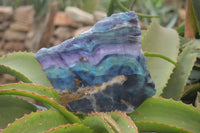 Polished On One Side Watermelon Fluorite Specimens x 2 From Namibia - Toprock Gemstones and Minerals 