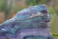 Polished On One Side Watermelon Fluorite Specimens x 2 From Namibia - Toprock Gemstones and Minerals 