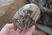 Polished Red Podocarpus Petrified Wood Standing Free Forms x 6 From Madagascar - Toprock Gemstones and Minerals 