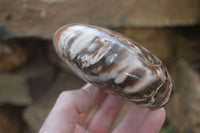 Polished Red Podocarpus Petrified Wood Standing Free Forms x 6 From Madagascar - Toprock Gemstones and Minerals 
