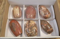 Polished Red Podocarpus Petrified Wood Standing Free Forms x 6 From Madagascar - Toprock Gemstones and Minerals 