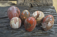 Polished Red Podocarpus Petrified Wood Standing Free Forms x 6 From Madagascar - Toprock Gemstones and Minerals 