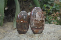 Polished Red Podocarpus Petrified Wood Standing Free Forms x 6 From Madagascar - Toprock Gemstones and Minerals 