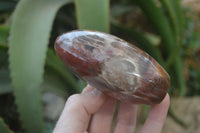 Polished Red Podocarpus Petrified Wood Standing Free Forms x 6 From Madagascar - Toprock Gemstones and Minerals 