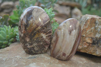 Polished Red Podocarpus Petrified Wood Standing Free Forms x 6 From Madagascar - Toprock Gemstones and Minerals 