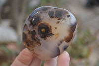 Polished Dendritic Agate Standing Free Forms x 6 From Madagascar - Toprock Gemstones and Minerals 