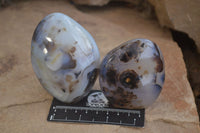 Polished Dendritic Agate Standing Free Forms x 6 From Madagascar - Toprock Gemstones and Minerals 