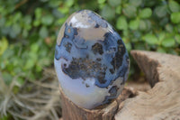 Polished Dendritic Agate Standing Free Forms x 6 From Madagascar - Toprock Gemstones and Minerals 