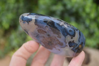 Polished Dendritic Agate Standing Free Forms x 6 From Madagascar - Toprock Gemstones and Minerals 