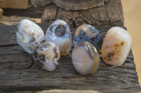 Polished Dendritic Agate Standing Free Forms x 6 From Madagascar - Toprock Gemstones and Minerals 