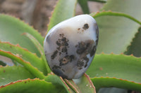 Polished Dendritic Agate Standing Free Forms x 6 From Madagascar - Toprock Gemstones and Minerals 