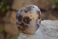 Polished Dendritic Agate Standing Free Forms x 6 From Madagascar - Toprock Gemstones and Minerals 