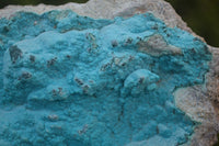 Natural Botryoidal Chrysocolla Specimen x 2 From Kulukuluku, Congo - Toprock Gemstones and Minerals 