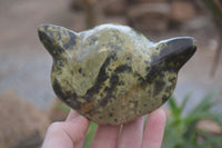 Polished Leopard Stone Cat Faces x 3 From Zimbabwe - Toprock Gemstones and Minerals 