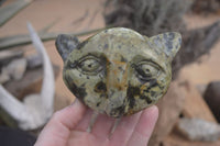 Polished Leopard Stone Cat Faces x 3 From Zimbabwe - Toprock Gemstones and Minerals 