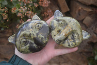 Polished Leopard Stone Cat Faces x 3 From Zimbabwe - Toprock Gemstones and Minerals 