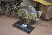 Polished Leopard Stone Cat Faces x 3 From Zimbabwe - Toprock Gemstones and Minerals 