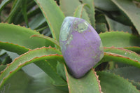 Polished Stichtite Free Forms x 2 From Barberton, South Africa - Toprock Gemstones and Minerals 