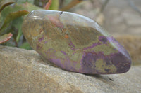 Polished Stichtite Free Forms x 2 From Barberton, South Africa - Toprock Gemstones and Minerals 