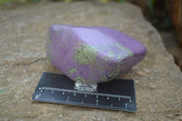 Polished Stichtite Free Forms x 2 From Barberton, South Africa - Toprock Gemstones and Minerals 