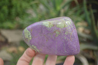 Polished Stichtite Free Forms x 2 From Barberton, South Africa - Toprock Gemstones and Minerals 