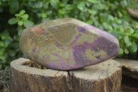Polished Stichtite Free Forms x 2 From Barberton, South Africa - Toprock Gemstones and Minerals 
