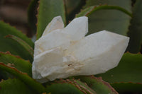 Natural Quartz Single Crystals x 4 From Madagascar - Toprock Gemstones and Minerals 
