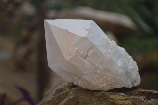 Natural Quartz Single Crystals x 4 From Madagascar - Toprock Gemstones and Minerals 