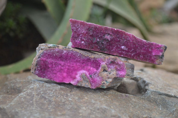 Natural Salrose Cobaltion Dolomite Specimens x 12 From Kakanda, Congo - Toprock Gemstones and Minerals 