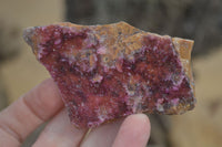 Natural Salrose Cobaltion Dolomite Specimens x 12 From Kakanda, Congo - Toprock Gemstones and Minerals 
