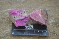 Natural Salrose Cobaltion Dolomite Specimens x 12 From Kakanda, Congo - Toprock Gemstones and Minerals 