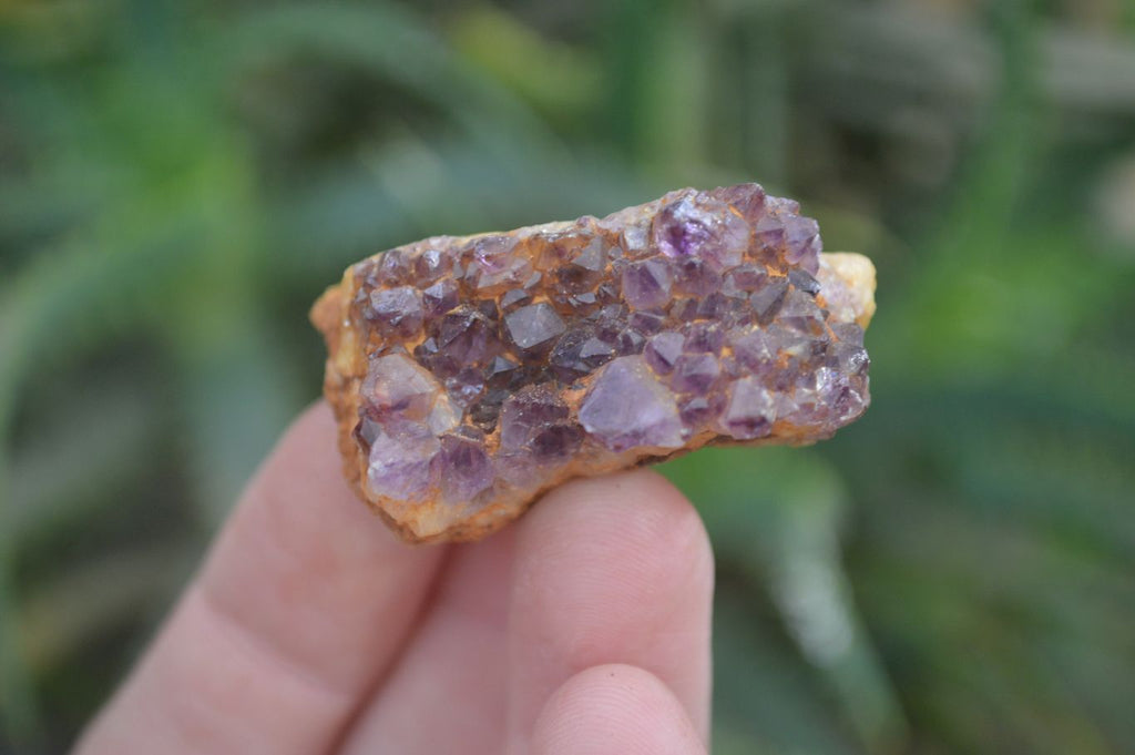 Natural Amethystos Amethyst Specimens x 96 From Kwaggafontein, South Africa - Toprock Gemstones and Minerals 