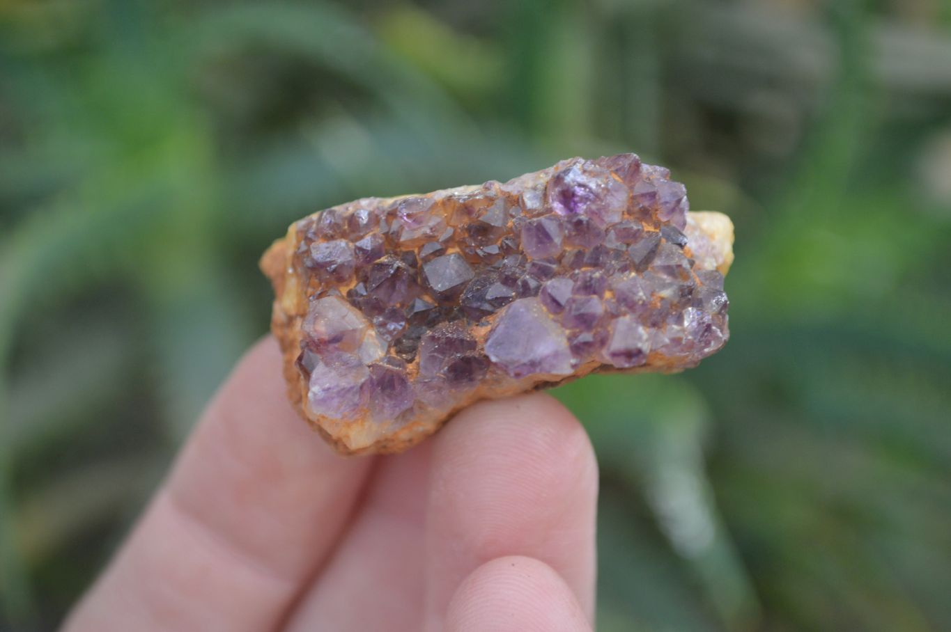 Natural Amethystos Amethyst Specimens x 96 From Kwaggafontein, South Africa - Toprock Gemstones and Minerals 