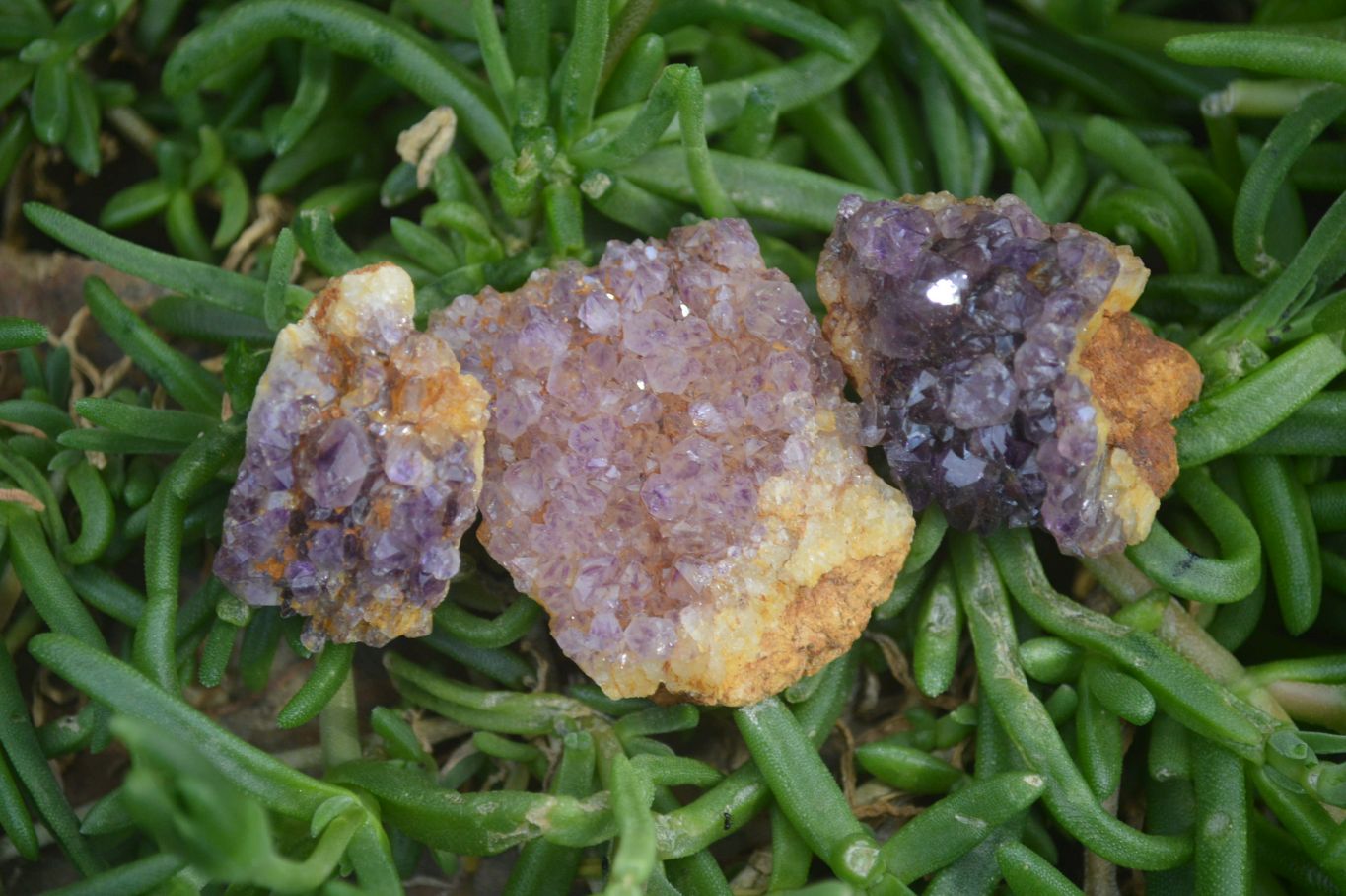 Natural Amethystos Amethyst Specimens x 96 From Kwaggafontein, South Africa - Toprock Gemstones and Minerals 