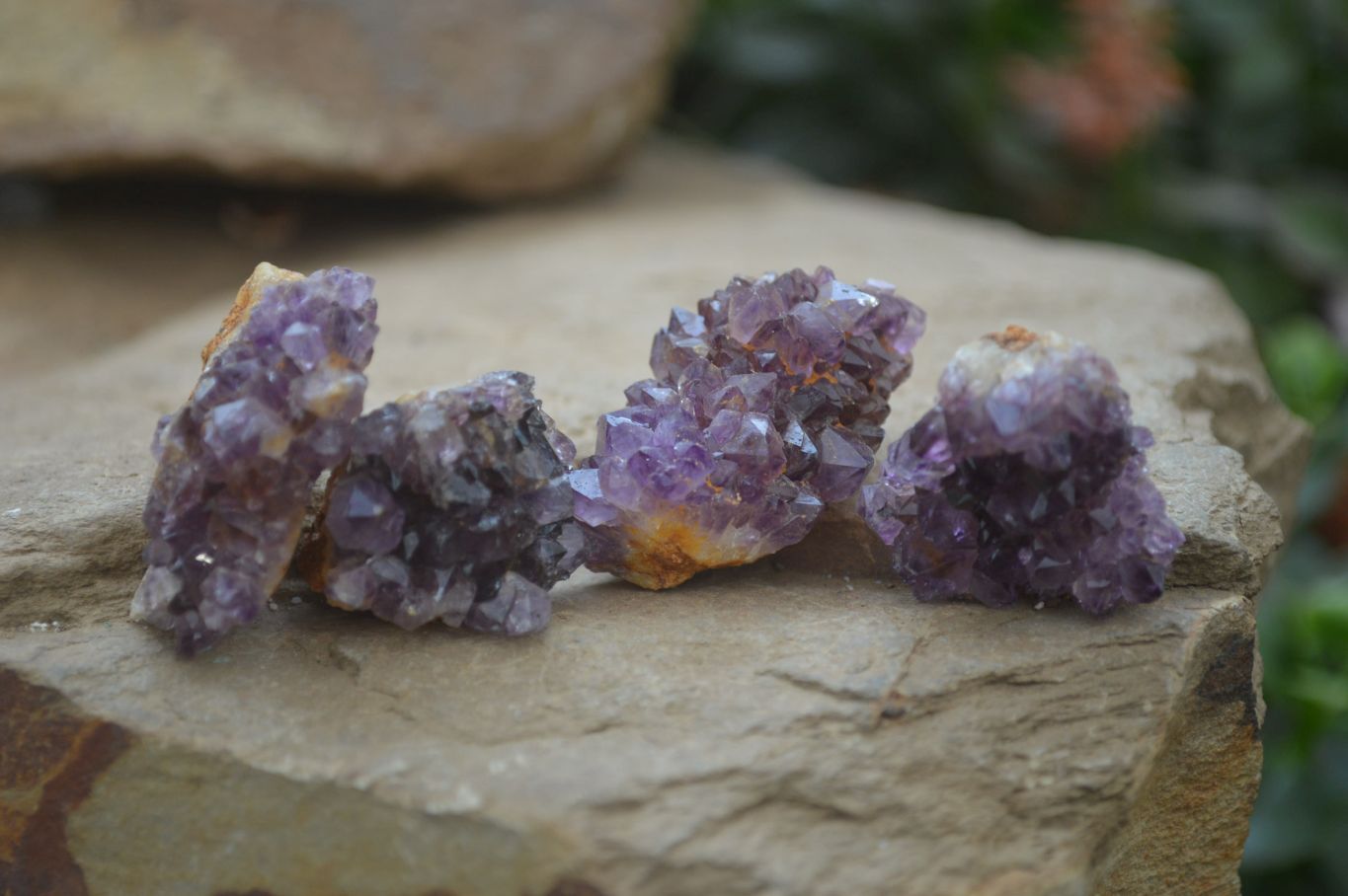 Natural Amethystos Amethyst Specimens x 96 From Kwaggafontein, South Africa - Toprock Gemstones and Minerals 