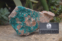 Natural Emerald Dioptase Dolomite Matrix Specimen x 1 From Namibia