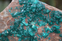Natural Emerald Dioptase Dolomite Matrix Specimen x 1 From Namibia